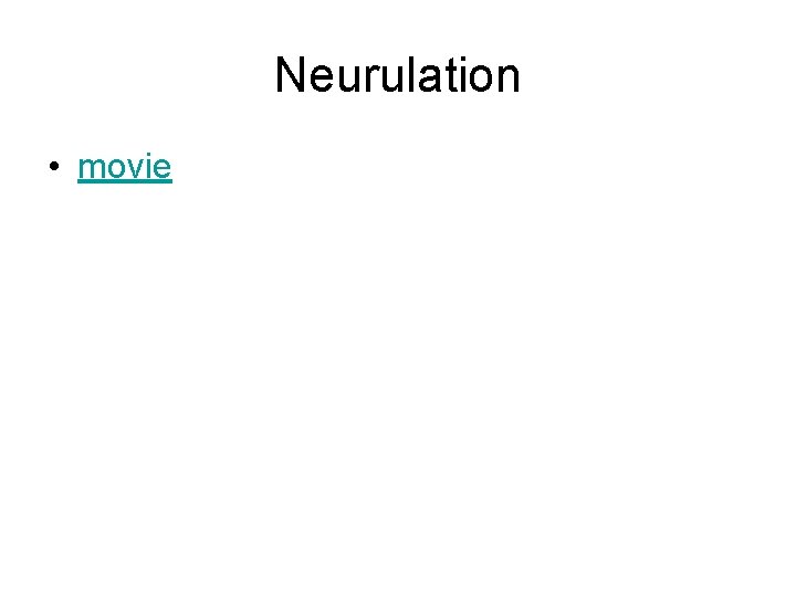 Neurulation • movie 