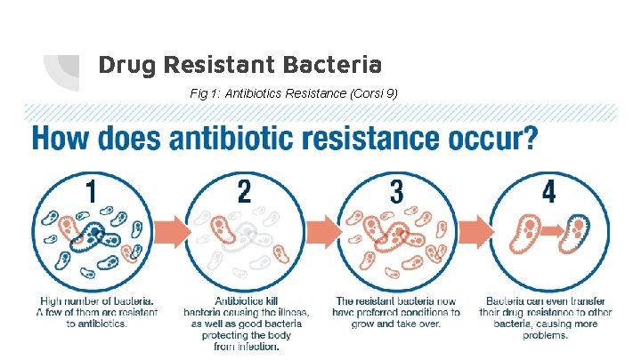 Drug Resistant Bacteria Fig 1: Antibiotics Resistance (Corsi 9) 