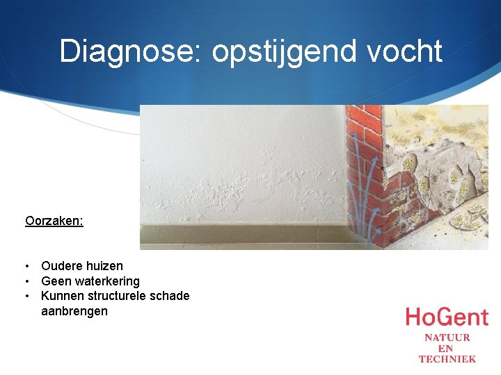 Diagnose: opstijgend vocht Oorzaken: • Oudere huizen • Geen waterkering • Kunnen structurele schade