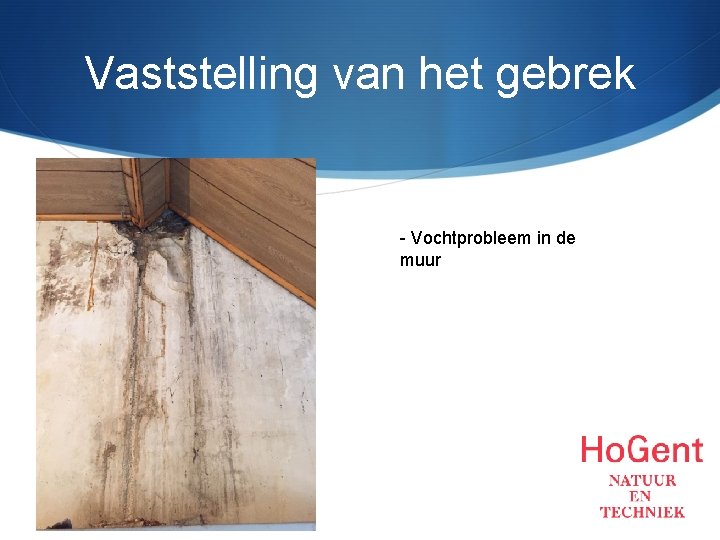 Vaststelling van het gebrek - Vochtprobleem in de muur 