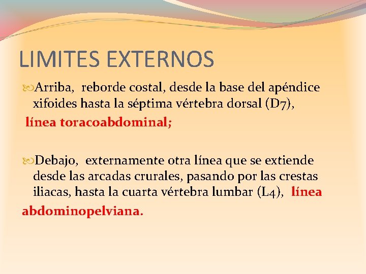 LIMITES EXTERNOS Arriba, reborde costal, desde la base del apéndice xifoides hasta la séptima