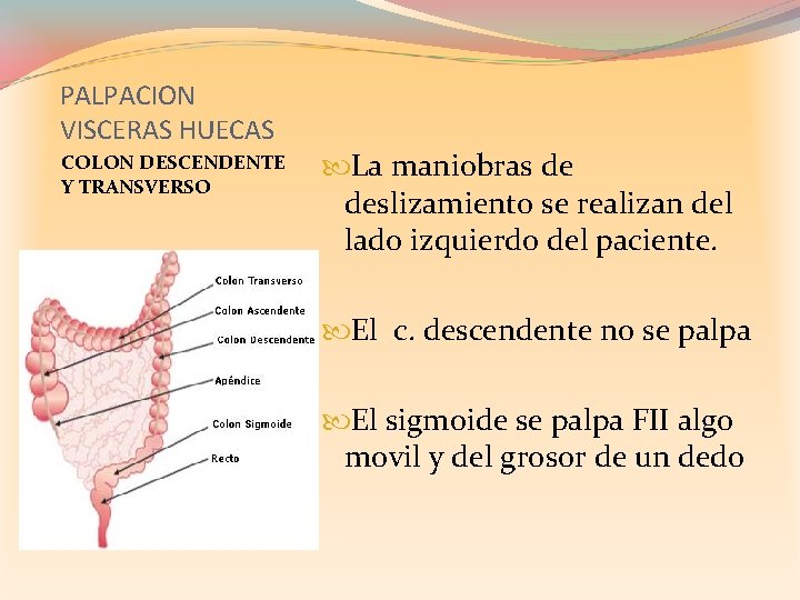 PALPACION VISCERAS HUECAS COLON DESCENDENTE Y TRANSVERSO La maniobras de deslizamiento se realizan del