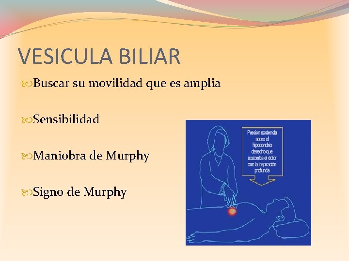 VESICULA BILIAR Buscar su movilidad que es amplia Sensibilidad Maniobra de Murphy Signo de
