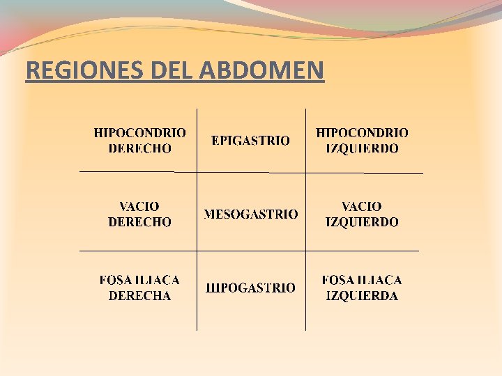 REGIONES DEL ABDOMEN 