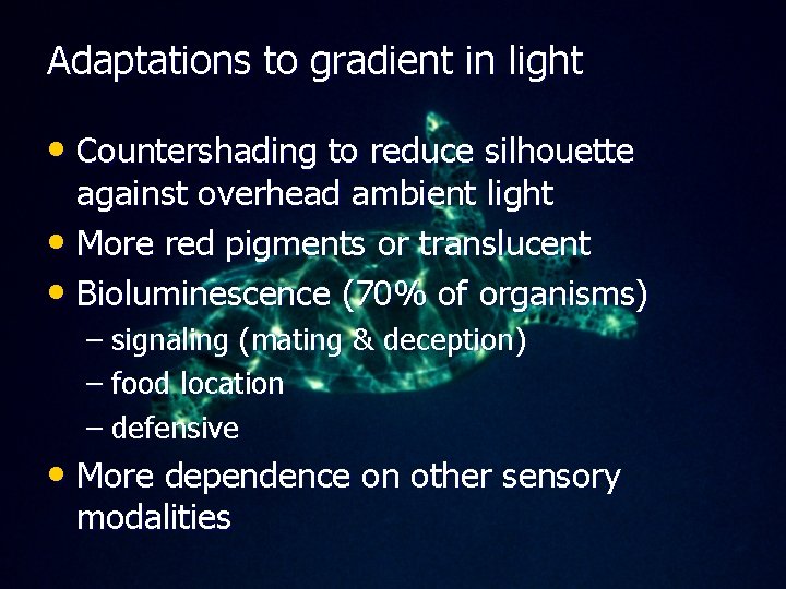 Adaptations to gradient in light • Countershading to reduce silhouette against overhead ambient light