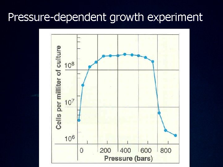 Pressure-dependent growth experiment 