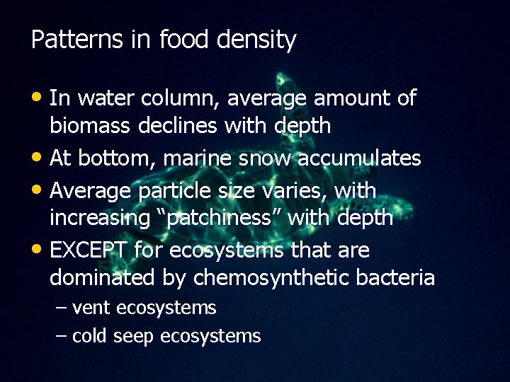 Patterns in food density • In water column, average amount of biomass declines with