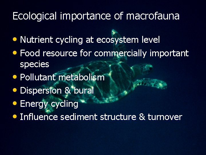 Ecological importance of macrofauna • Nutrient cycling at ecosystem level • Food resource for