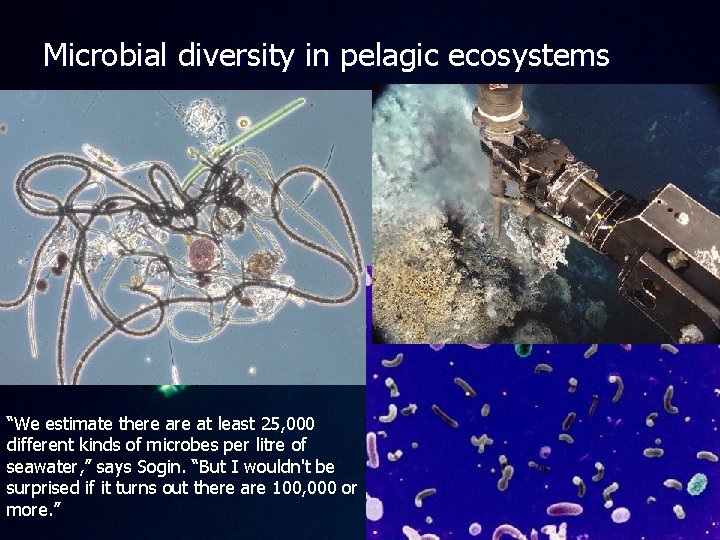 Microbial diversity in pelagic ecosystems “We estimate there at least 25, 000 different kinds