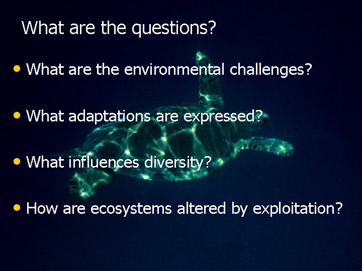 What are the questions? • What are the environmental challenges? • What adaptations are