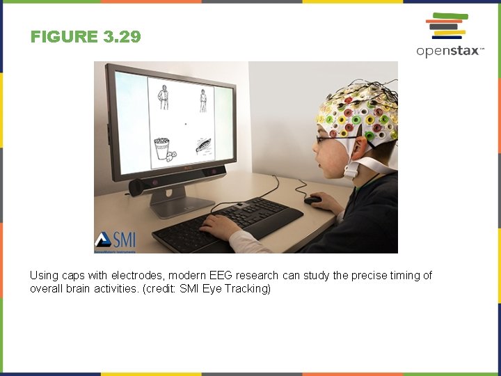 FIGURE 3. 29 Using caps with electrodes, modern EEG research can study the precise