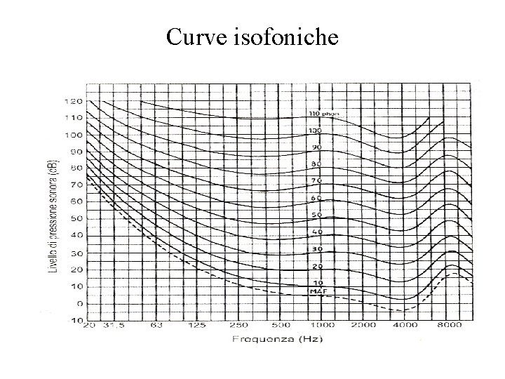 Curve isofoniche 