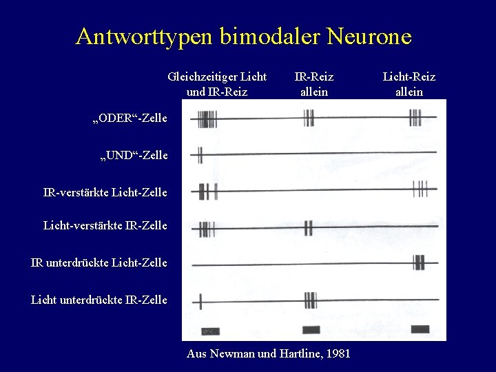 Antworttypen bimodaler Neurone Gleichzeitiger Licht und IR-Reiz allein „ODER“-Zelle „UND“-Zelle IR-verstärkte Licht-Zelle Licht-verstärkte IR-Zelle