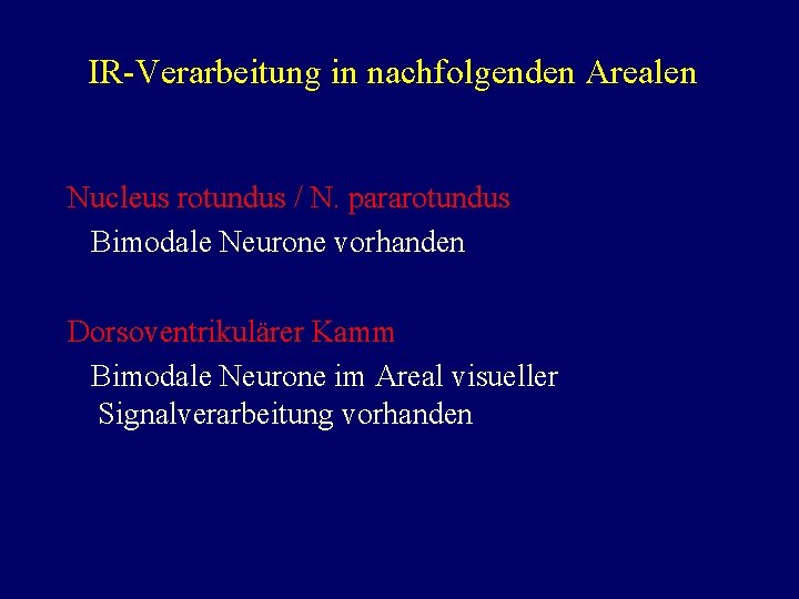 IR-Verarbeitung in nachfolgenden Arealen Nucleus rotundus / N. pararotundus Bimodale Neurone vorhanden Dorsoventrikulärer Kamm