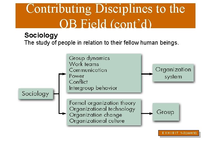 Contributing Disciplines to the OB Field (cont’d) Sociology The study of people in relation