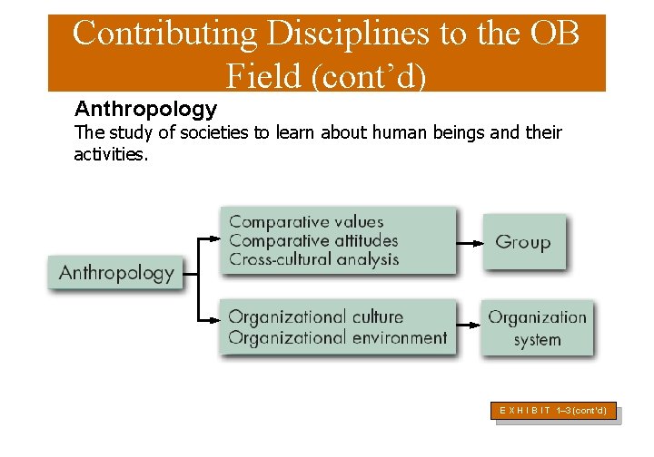 Contributing Disciplines to the OB Field (cont’d) Anthropology The study of societies to learn