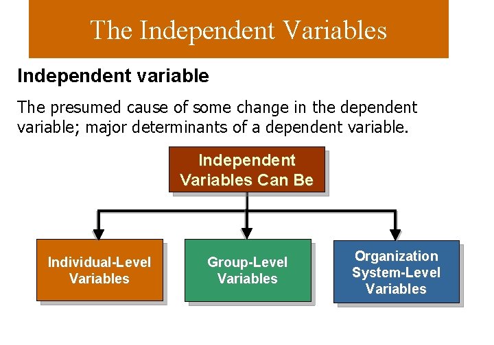 The Independent Variables Independent variable The presumed cause of some change in the dependent