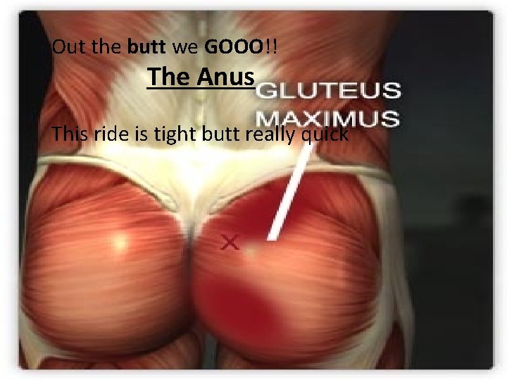 Out the butt we GOOO!! The Anus This ride is tight butt really quick