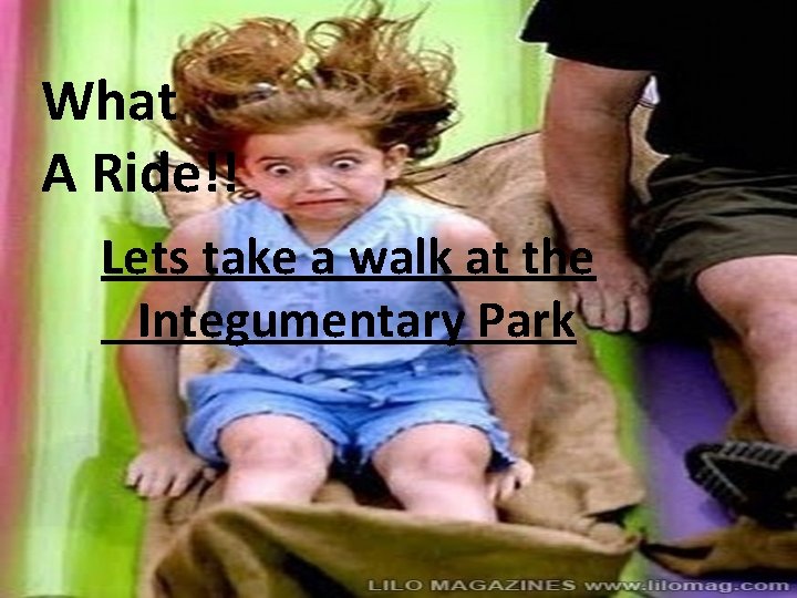 What A Ride!! Lets take a walk at the Integumentary Park 