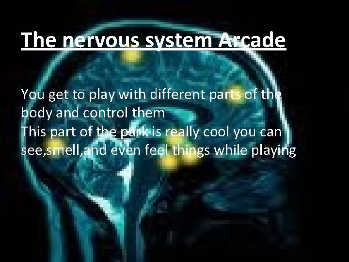 The nervous system Arcade You get to play with different parts of the body