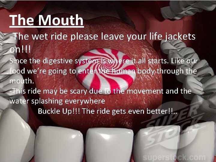 The Mouth -The wet ride please leave your life jackets on!!! Since the digestive