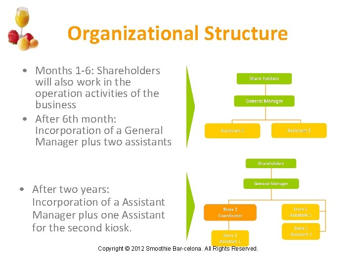 Organizational Structure • Months 1 -6: Shareholders will also work in the operation activities