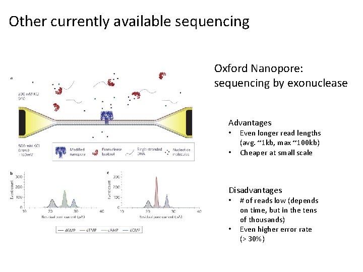 Other currently available sequencing Oxford Nanopore: sequencing by exonuclease Advantages • • Even longer