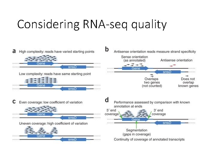 Considering RNA-seq quality 