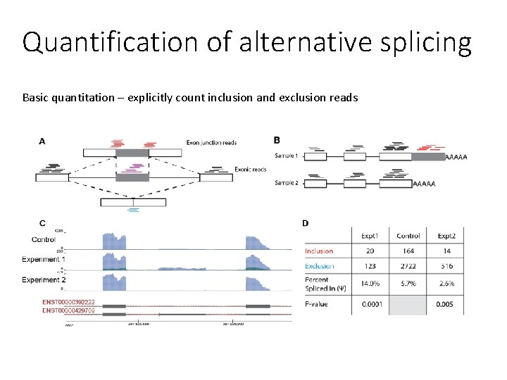 Quantification of alternative splicing Basic quantitation – explicitly count inclusion and exclusion reads 