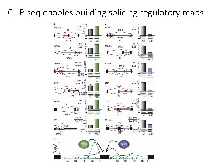 CLIP-seq enables building splicing regulatory maps 