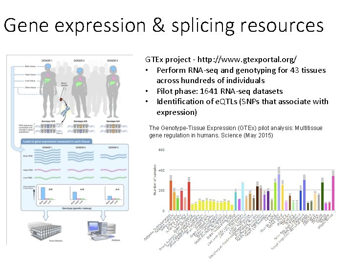 Gene expression & splicing resources GTEx project - http: //www. gtexportal. org/ • Perform