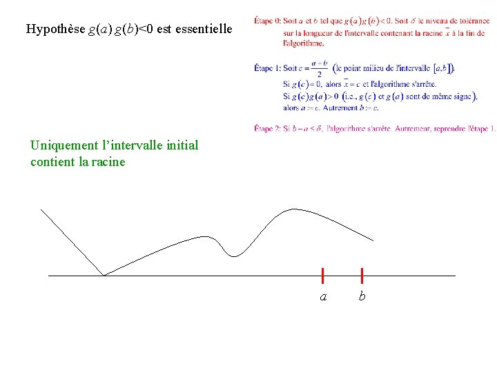 Hypothèse g(a) g(b)<0 est essentielle Uniquement l’intervalle initial contient la racine a b 