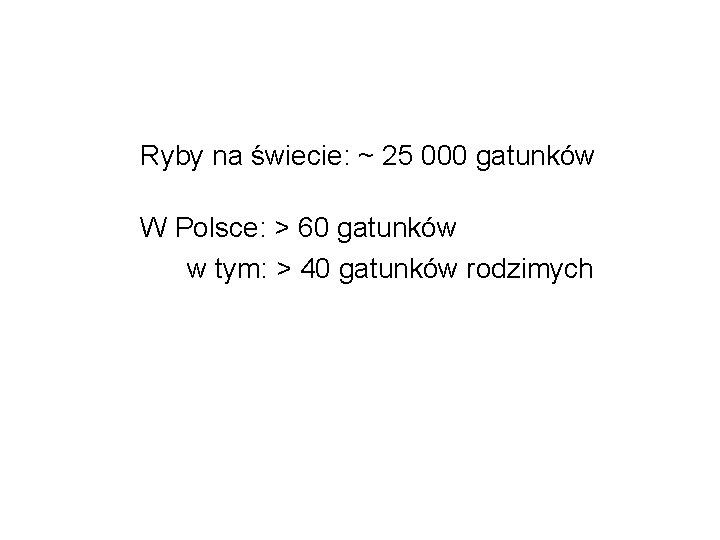 Ryby na świecie: ~ 25 000 gatunków W Polsce: > 60 gatunków w tym: