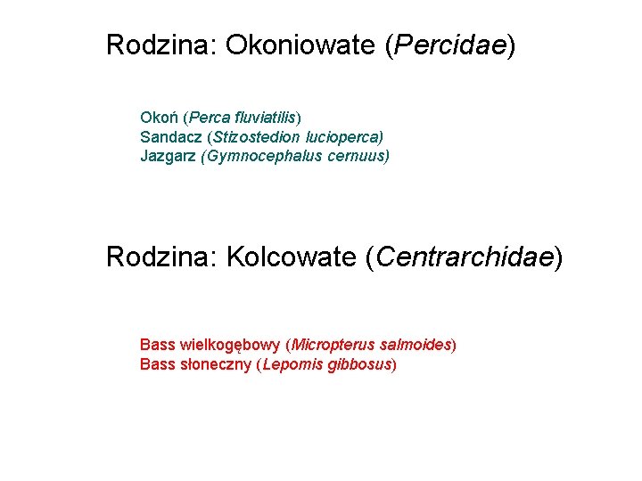 Rodzina: Okoniowate (Percidae) Okoń (Perca fluviatilis) Sandacz (Stizostedion lucioperca) Jazgarz (Gymnocephalus cernuus) Rodzina: Kolcowate
