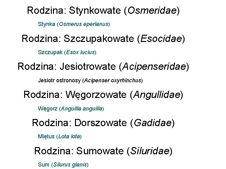 Rodzina: Stynkowate (Osmeridae) Stynka (Osmerus eperlanus) Rodzina: Szczupakowate (Esocidae) Szczupak (Esox lucius) Rodzina: Jesiotrowate