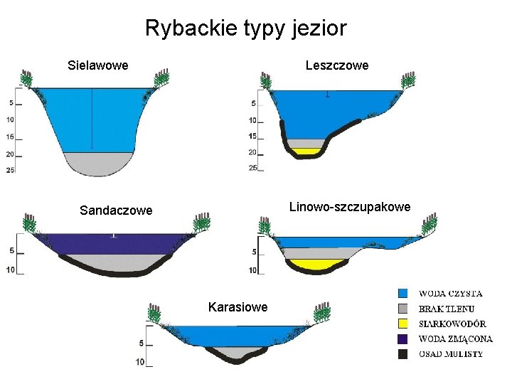 Rybackie typy jezior Sielawowe Leszczowe Linowo-szczupakowe Sandaczowe Karasiowe 