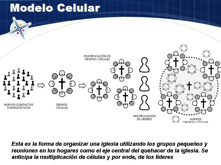 Modelo Celular Esta es la forma de organizar una iglesia utilizando los grupos pequeños