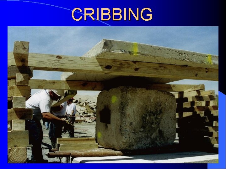 CRIBBING 