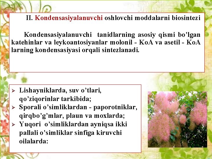 II. Kondеnsasiyalanuvchi oshlovchi moddalarni biosintеzi Kondensasiyalanuvchi tanidlarning asosiy qismi bo’lgan katehinlar va leykoantosiyanlar molonil