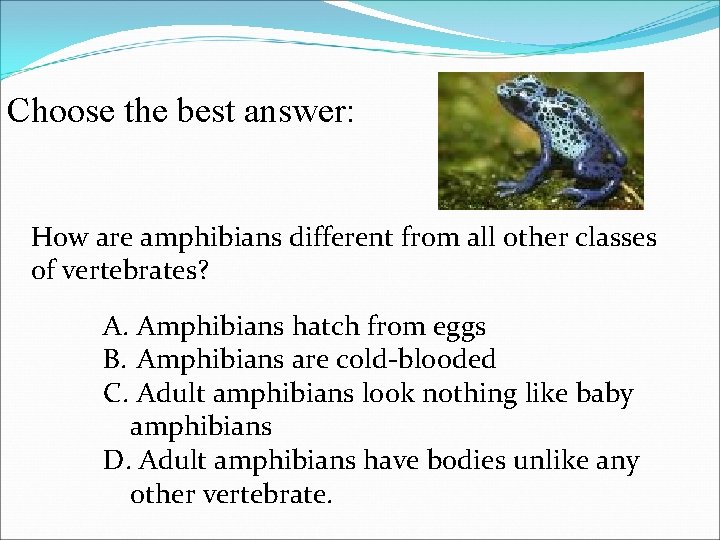 Choose the best answer: How are amphibians different from all other classes of vertebrates?