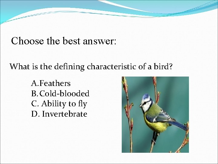 Choose the best answer: What is the defining characteristic of a bird? A. Feathers