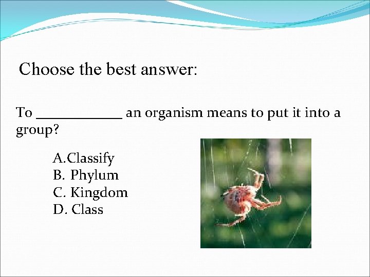 Choose the best answer: To ______ an organism means to put it into a