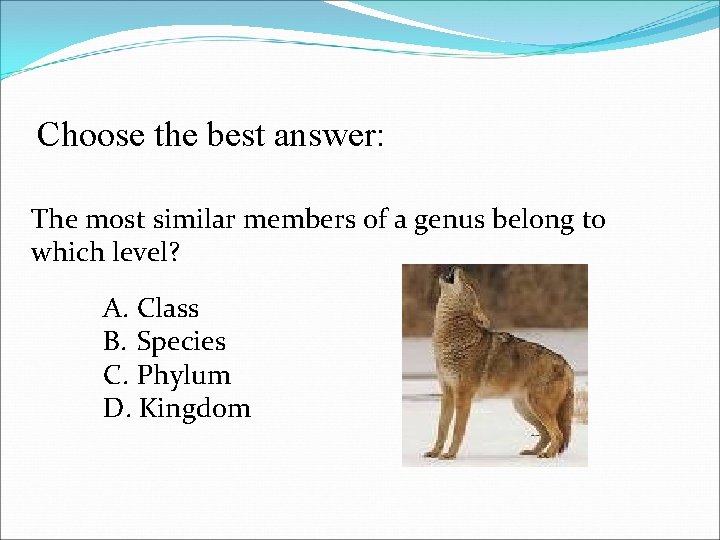 Choose the best answer: The most similar members of a genus belong to which