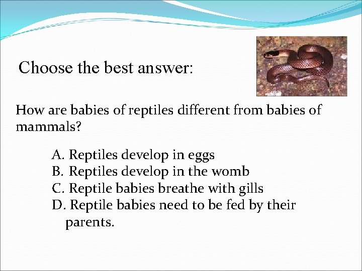 Choose the best answer: How are babies of reptiles different from babies of mammals?