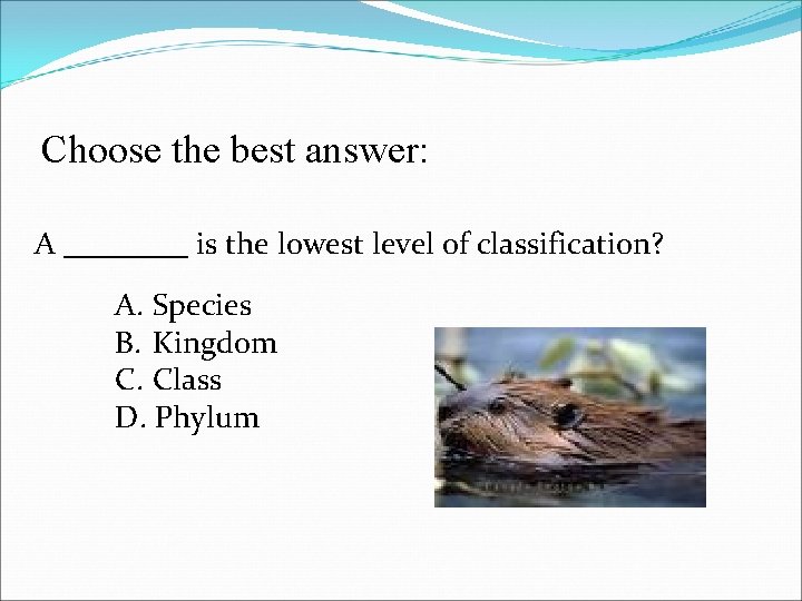 Choose the best answer: A ____ is the lowest level of classification? A. Species