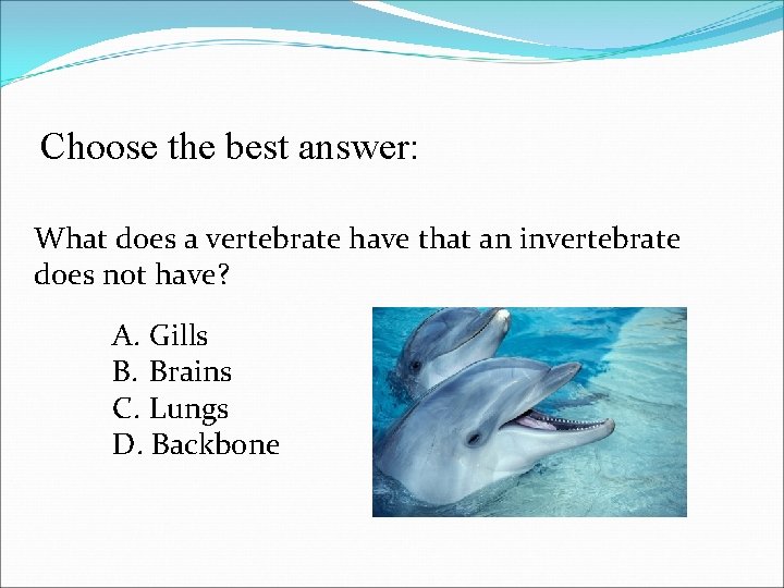 Choose the best answer: What does a vertebrate have that an invertebrate does not