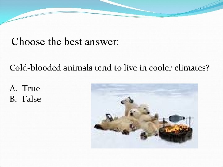Choose the best answer: Cold-blooded animals tend to live in cooler climates? A. True