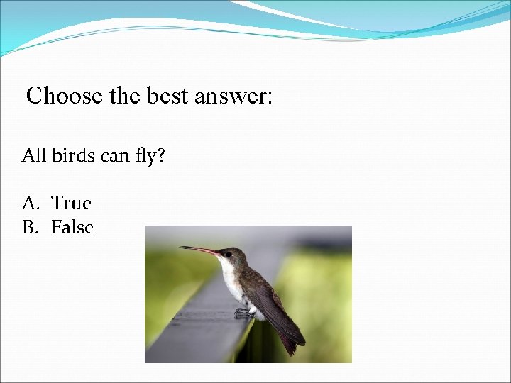 Choose the best answer: All birds can fly? A. True B. False 