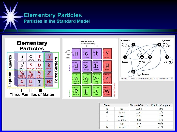 Elementary Particles in the Standard Model 