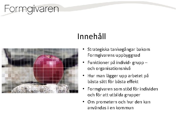 Innehåll • Strategiska tankegångar bakom Formgivarens uppbyggnad • Funktioner på individ- grupp – och